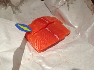 Salmon