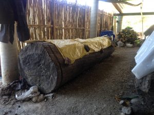 A wooden log "fermenter"