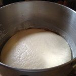 dough in silver bowl