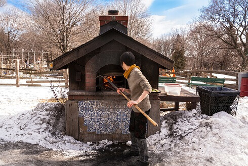 Pizza Oven in Dufferin Grove