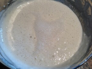 sourdough starter