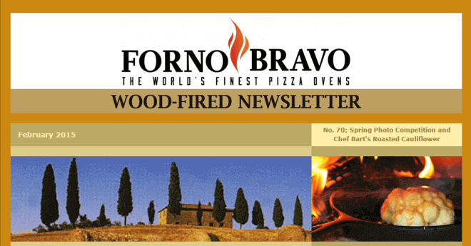 wood-fired newsletter February 2015