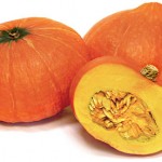 butternut squash