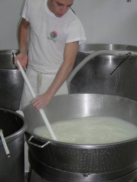Mozzarella7