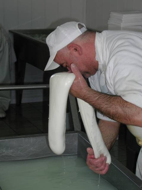 Mozzarella8