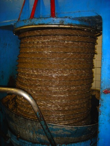 OliveOil9