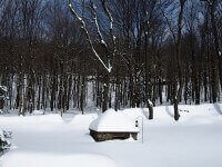 Pompeii DIY Brick Oven Winter Photo Bovina NY 2