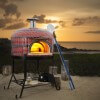 Forno Bravo Napolino wood fired pizza oven