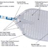 Pizza Peel Anatomy
