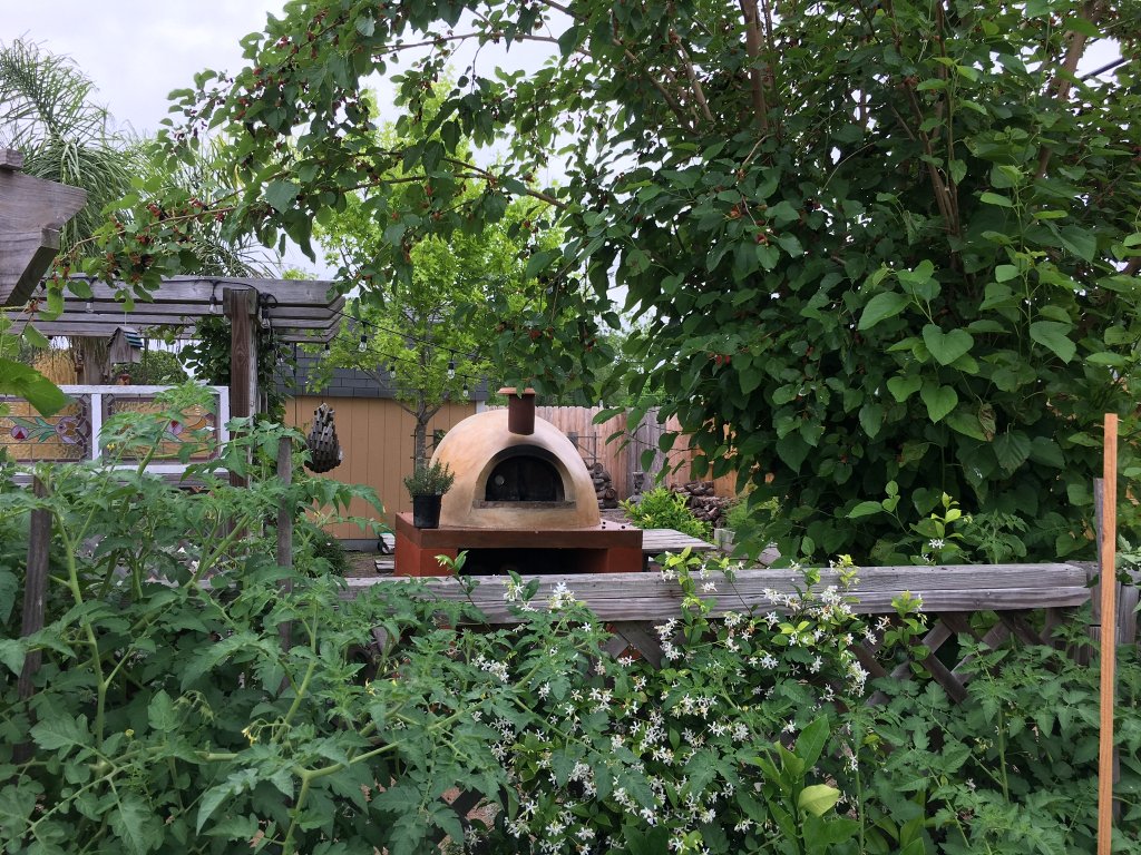 Cream colored stucco Primavera pizza oven peeks out from behind a lattice fence covered in greenery