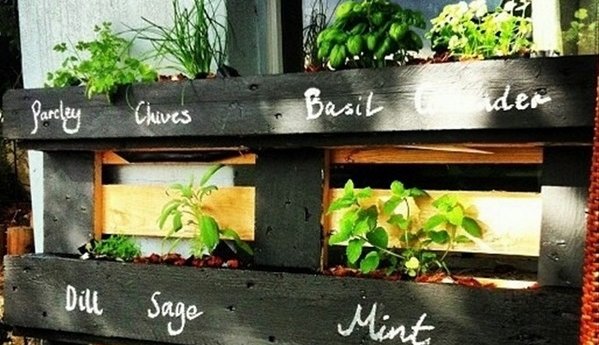 herb garden in a pallet