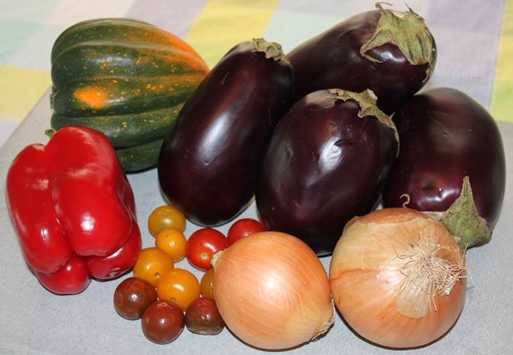 Eggplant-squash-onions-tomatoes-pepper