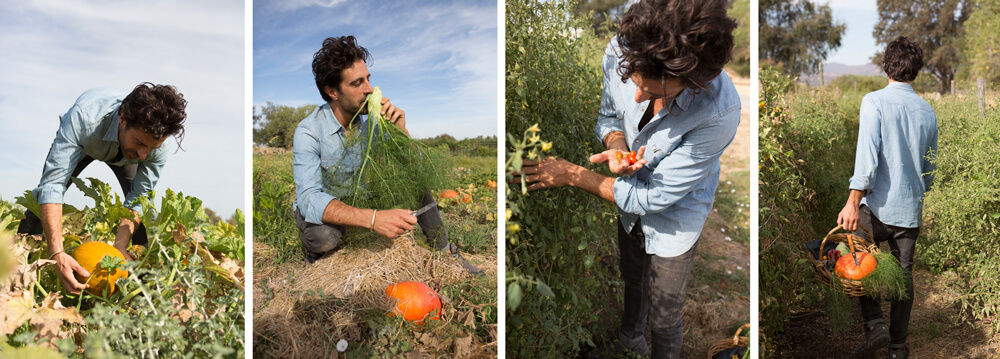 4-pic of man in field