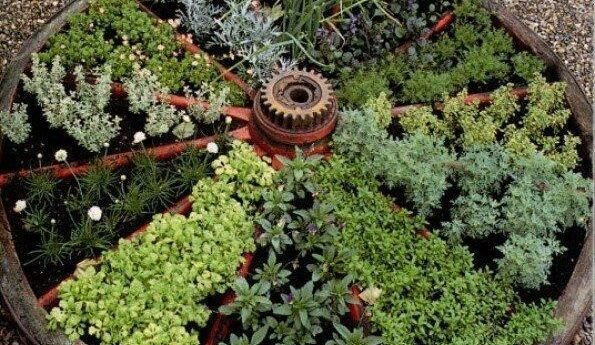 Wagon Wheel filled with herbs and plants