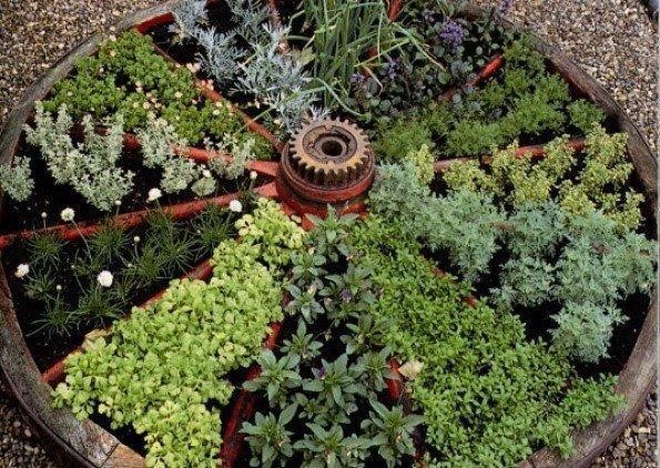 Wagon Wheel filled with herbs and plants