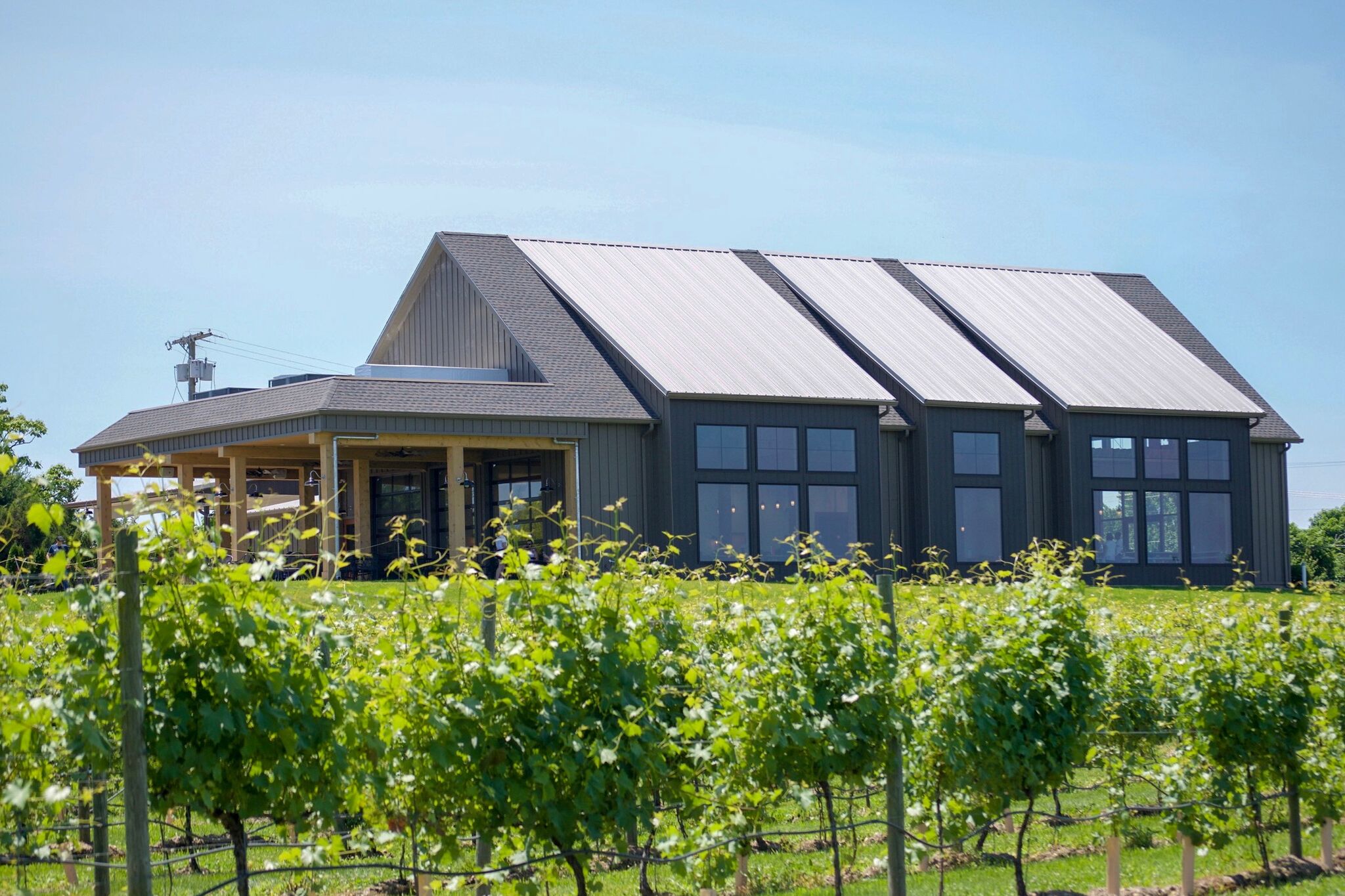 Sharrott Winery Tasting Room And Vineyard 01 - Forno Bravo. Authentic