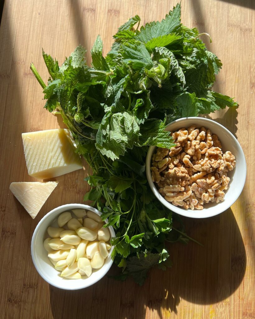 Nettles-walnuts-garlic-hard white cheese