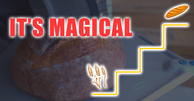 12 Stages food bread transformation